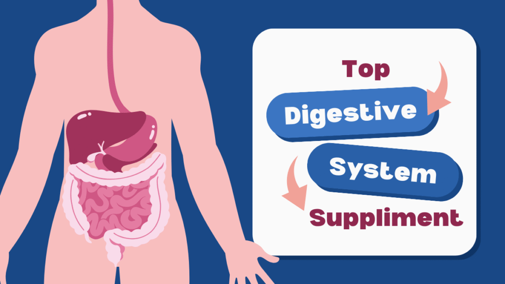 Top Digestive Enzyme Supplements for Bloating Relief